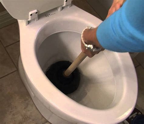 5 Signs You Need Your Drain Cleaned