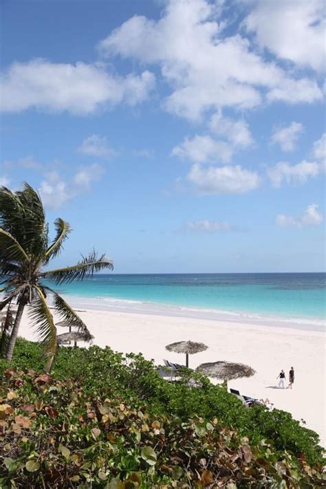 Pink Sands Beach Harbour Island Bahamas Bahamas All Inclusive Best All