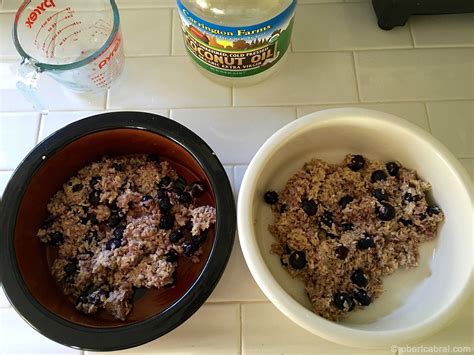 While all of these recipes are nutritious and delicious, they are a bit of a pain to serve. oatmeal breakfast for dogs | No cook meals, Dog breakfast ...