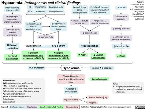 Hypoxemia Pathogenesis And Clinical Findings Calgary Guide 77430 Hot Sex Picture