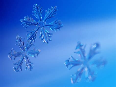 Choose from hundreds of free snow wallpapers. 76+ Snow Wallpapers For Desktop Free on WallpaperSafari
