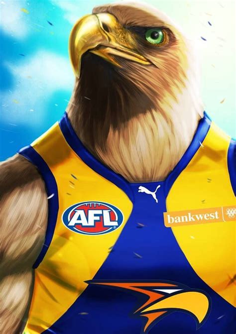 With such songs as desperado and have been bought together in one package. 46 best AFL . . . West Coast Eagles Football Club ...