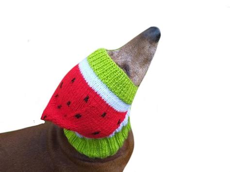 Knitted Hat For Dog Watermelon Etsy Dog Hat Winter Hats Warm