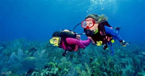 Scuba Diving Experience In A Private Island In Goa India Klook Hong Kong