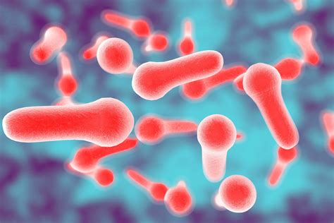 Botulism Is Caused By Bacteria Toxins Mayo Clinic News Network