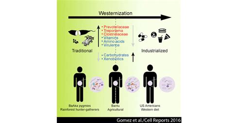 Impact Of Lifestyle And Diet On Gut Bacterial Communities Across