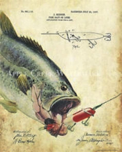 Bass Fishing Fishing Hacks Bassfishing With Images Vintage