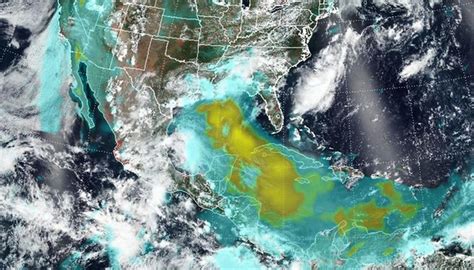If you're not already creating word clouds, you've no doubt seen them. 'Godzilla dust cloud' arrives in US | Newshub