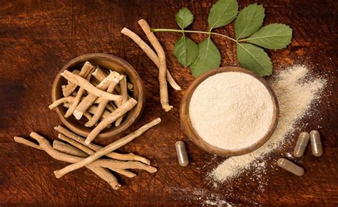 Ashwagandha, by reducing stress, can balance out the cycle of cortisol production and hair loss, acting as both a preventative and a remedy since once the body stops producing too much cortisol, hair growth eventually resumes. Ashwagandha Benefits for Weight Loss