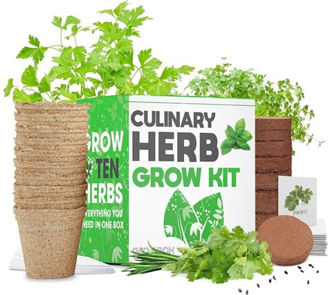 Culinary Herb Garden Kit Easily Grow 10 Culinary Herbs With Etsy