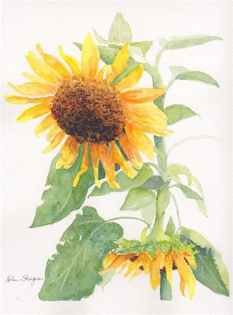 Watercolor Sunflower Flower Art Painting Sunflower Painting