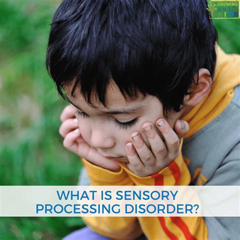 What Is Sensory Processing Disorder For Parents Educators And Therapists