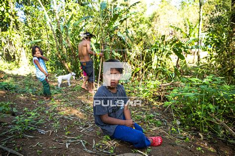 Criança indígena da etnia Guarani da aldeia Rio Silveira na roça Terra Indígena Ribeirão