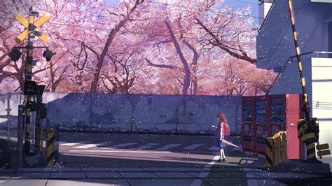 Download 1920x1080 Anime School Girl Sakura Blossom Spring Trees
