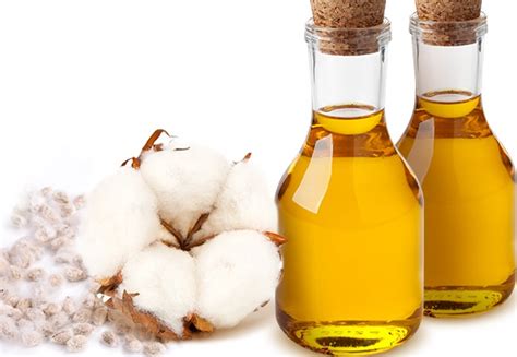 Non Gmo Organic Cottonseed Oil For Agriculture Medicine Foods