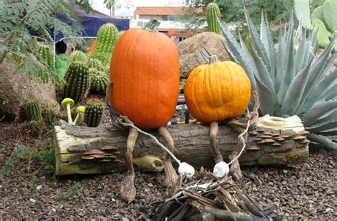 Artist Brings World Class Carvings And Vignettes To Arizona Pumpkin