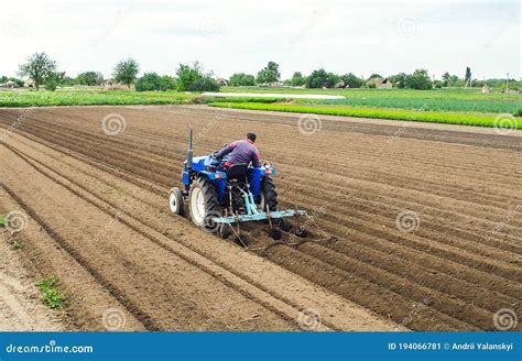 A Farmer On A Tractor Plows The Field For Further Sowing Of The Crop