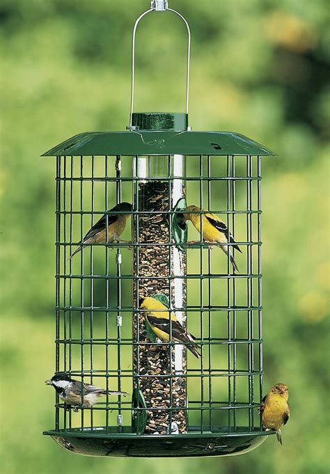 Large Bird And Squirrel Proof Tiny Songbird Feeder Squirrel Proof