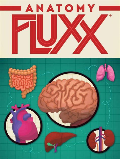 Puzzlenation Product Review Anatomy Fluxx Puzzlenation Com Blog