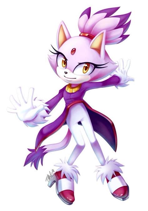 Blaze The Cat Sonic And Shadow Sonic Fan Art Sonic The Hedgehog