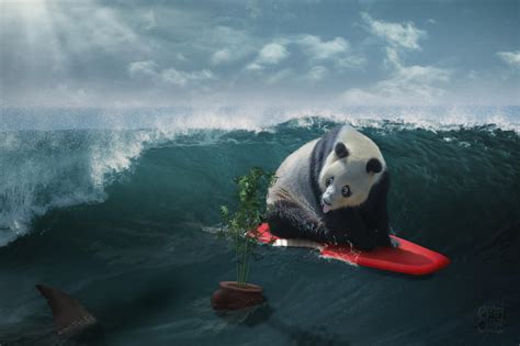 Surfing Panda By Spirekart On Deviantart