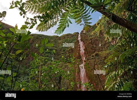 Chutes Du Carbet A Waterfall In A Rainforest Saint Claude