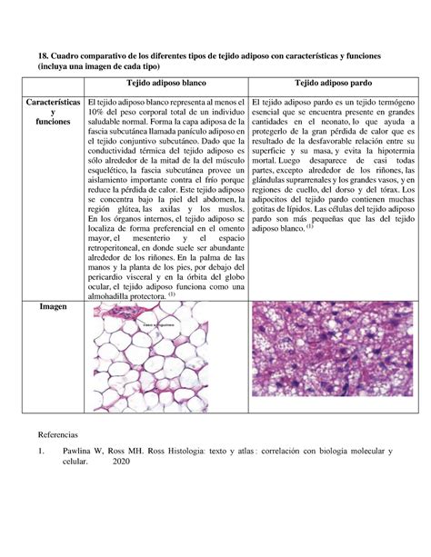 Tarea 18 Diferentes Tipos De Tejido Adiposo Cuadro Comparativo De