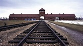 Poland-Russia row sours Auschwitz commemoration - BBC News