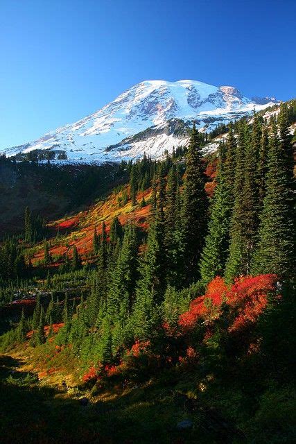 Mt Rainier Fall Color If You Are Interested In Purchasing Flickr