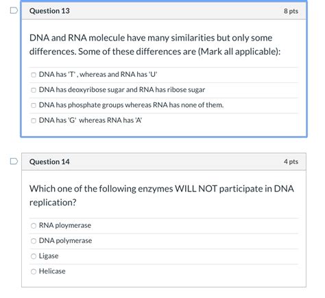 Solved Question 13 8 Pts DNA And RNA Molecule Have Many Chegg Com