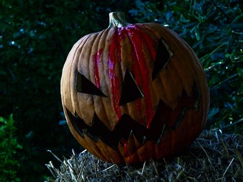 Scarefx Sleepy Hollow Scarecrow Head