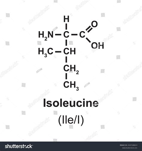 Isoleucine Amino Acid Structure Chimique Illustration Image Vectorielle De Stock Libre De