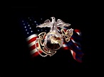 United States Marine Corps - Law And Government