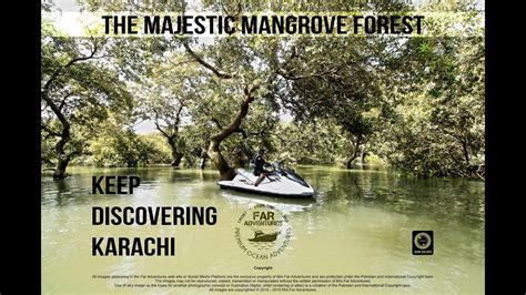 The Mystical Mangrove Forest Of Karachi Youtube