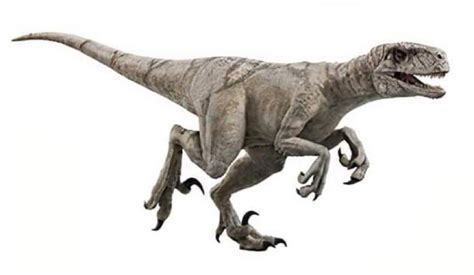 Potential Spoilers New Jurassic World Dominion Atrociraptor Renders Released Dinosaurs Forum