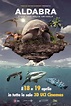 Aldabra: Once Upon an Island (2015) - DVD PLANET STORE