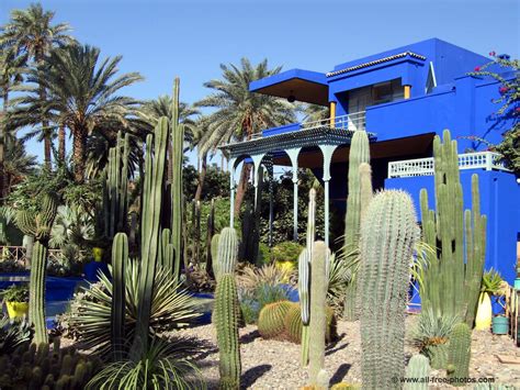 Jardín Majorelle Un Lugar De Ensueño En Marrakech Jardineria On