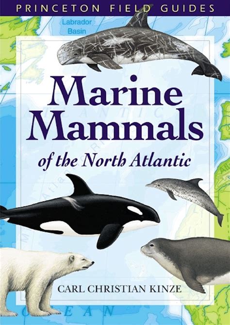 Marine Mammals Of The North Atlantic Princeton University Press