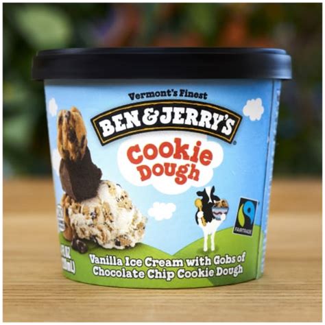 Ben And Jerrys Non Gmo Mini Cup Chocolate Chip Cookie Dough Core Ice