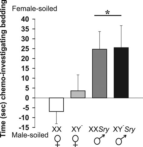 Sex Chromosome Complement And Gonadal Sex Influence Aggressive And