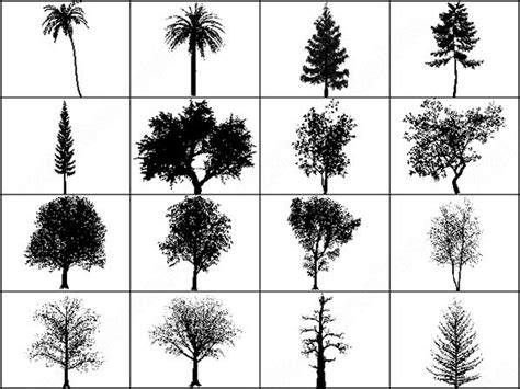 Plan View Trees Photoshop Brushes Downhor