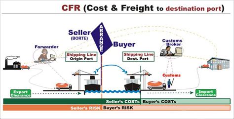 What Is The Meaning Of Cnf Science Transition