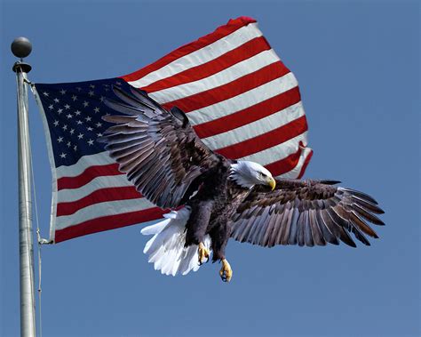Patriotism Photograph By Deb Henman Fine Art America