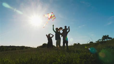 Ray Kite Flying In The Sky Image Free Stock Photo Public Domain