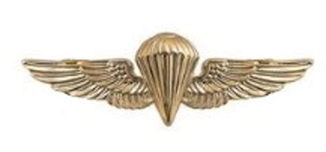 Navymarine Corps Badge Parachutist Regulation Mirror Finish