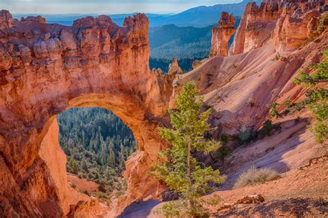 Bryce Canyon Nationalpark Tolle Felspyramiden In Utah