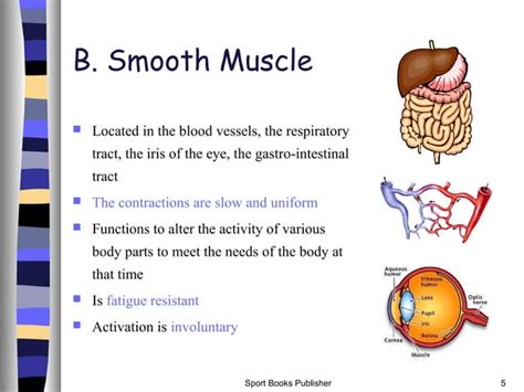 Muscle Structureandfunction Ppt