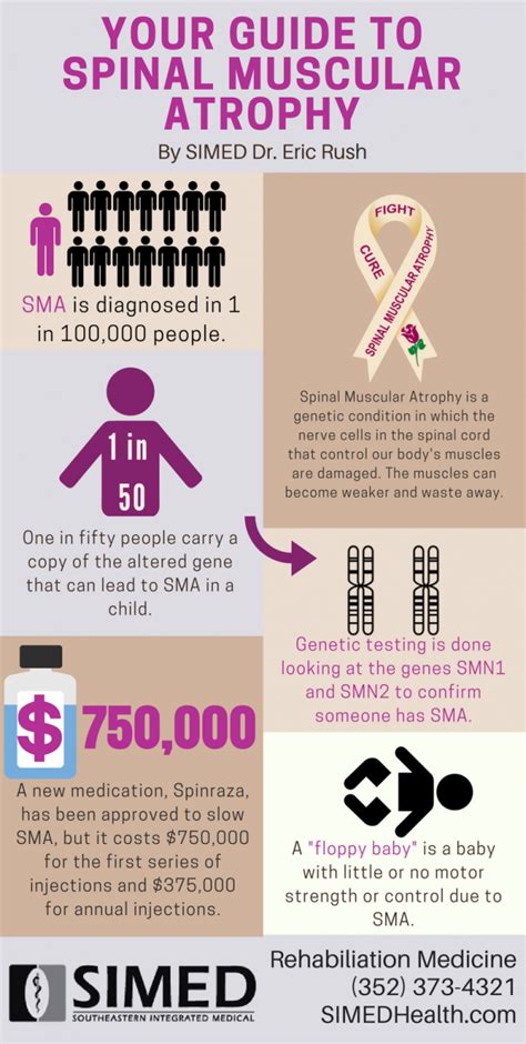 Infographic With Information About Spinal Muscular Atrophy Spinal