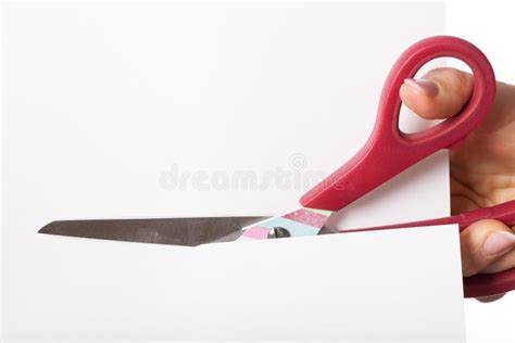 Scissors Cutting Piece Of Paper Stock Photo Image Of Fingers White