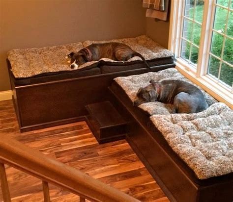 10 Human Bed With Dog Bed Decoomo